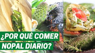 NOPAL COMO ALIMENTO Beneficios del consumo de nopales [upl. by Joey]