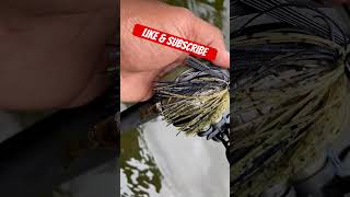 Green pumpkin blue flake chatterbait DIY🎣 youtubeshorts bassfishingismylife [upl. by Ainimre]