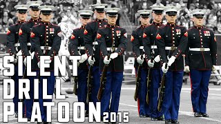 Silent Drill Platoon Performs At Halftime  Texans vs Jets [upl. by Enrobialc]