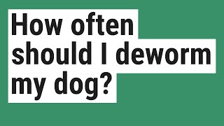 How often should I deworm my dog [upl. by Selij297]