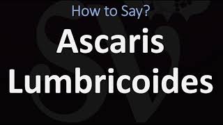 How to Pronounce Ascaris Lumbricoides CORRECTLY [upl. by Korman35]