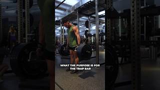 Why use the Trap Bar for Deadlifts [upl. by Adelina317]