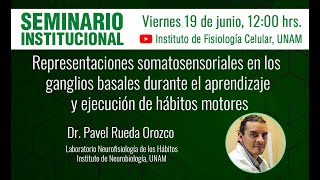 Representaciones somatosensoriales en los ganglios basales [upl. by Jeromy106]