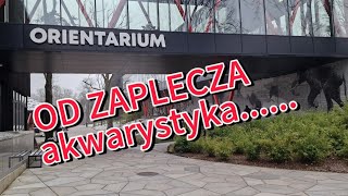 Zaplecze orientarium w Łodzi [upl. by Heffron]