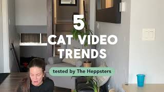 Testing 5 Viral Cat Video Trends [upl. by Yerd]