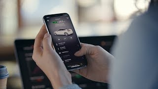 Model 3 Guide  Mobile App [upl. by Nama]