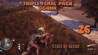 CLEARING TRUMBULL VALLEYTRIPLE FERAL PACK UGHHHEPISODE 26 [upl. by Aceber]