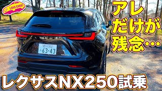 レクサス 新型NX250 試乗！ 買い得モデルだが、 唯一アレだけが気になる…ソレ以外はバランスの良い仕上がりだけに… [upl. by Kcam]