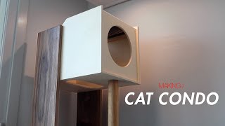 W86Cat condo [upl. by Llenehc]