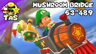 【TAS】Mario Kart Double Dash 5 Mushroom Bridge  053quot489 [upl. by Aynot8]