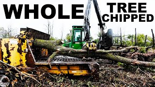 525 HP WOOD CHIPPER  SHREDS 26quot WHOLE TREES AT ONCE [upl. by Antoinette]