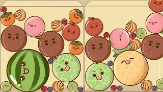 WATERMELON GAME  Monkey Land  Qs Watermelon  satisfying gameplay Drop Fruit evolution 20 [upl. by Toffey461]