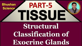 Part 5  Tissue Level of Organization  Structural Classification  Exocrine Glands Hindi BPharm [upl. by Aneerb]