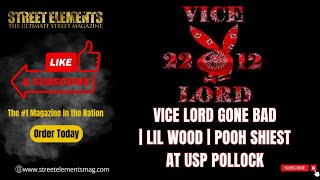 Vice Lord Gone Bad  Lil Woody  Pooh Shiesty USP Pollock [upl. by Estevan]