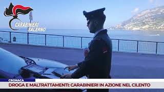 CRONACA DROGA E MALTRATTAMENTI CARABINIERI IN AZIONE NEL CILENTO [upl. by Jilli]