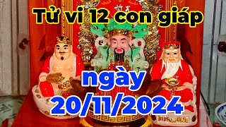 tử vi 12 con giáp ngày mậu tý [upl. by Auburn241]