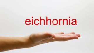 How to Pronounce eichhornia  American English [upl. by Sigismund]