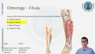 Lower Limb Question Discussion August November 2023 attempt [upl. by Ardna434]