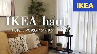 IKEA購入品｜秋冬インテリア｜プチプラアイテム｜植物のある暮らし [upl. by Elrebmik582]