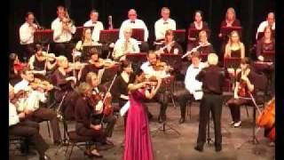 Wieniawski Violin Concerto No 1 in F min Mov 2 [upl. by Belden]