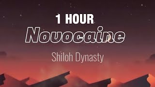 1 HOUR Shiloh Dynasty  Novocaine  lyrics sped up [upl. by Nagap]