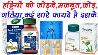 Hadjod Tablet Ke Fayde  Fracture Bone Loss Wounds Joints Reduce inflammation  Dabur Himalaya [upl. by Enneicul]