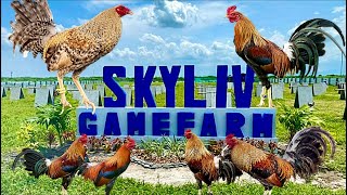 Lets Visit The Farm Of Skyliv Gamefarm [upl. by Cirilo817]