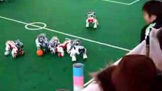 AIBO Soccer [upl. by Dwayne]