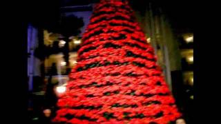 Trees of Christmas at Opryland Resort [upl. by Aerua]