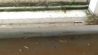 fix for water in patio door track [upl. by Herc]