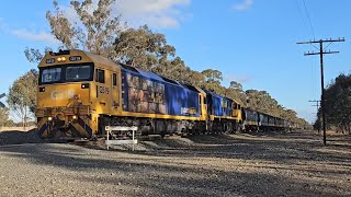 7733V PN empty grain G519 XR559 Geelong to Dimboola 1847 131124 Deep Lead Loop VIC [upl. by Limann]