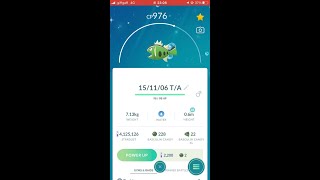 Shiny WhiteStriped Basculin In Pokémon Go [upl. by Nealon]