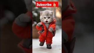 Meow dance 🕺 kidssong cat yellowcat animation dance dancingcat [upl. by Profant25]