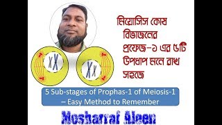 প্রফেজ ১ এর ৫টি উপপর্যায় মনে রাখ সহজে 5 Substages of Prophas1 of Meiosis1 [upl. by Chouest]