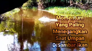 Spot yang di incar para angler sambaran dimana mana ledakan sambaran [upl. by Atteloc]