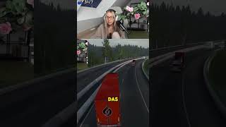 W Geisterfahrer twitch twitchclips ets2 felikah [upl. by Kovacs961]