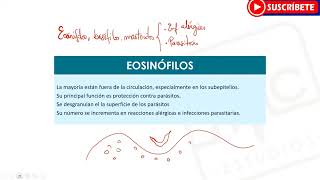 HEMATOLOGÍA Todo sobre los Leucocitos  Funciones Tipos [upl. by Miki]