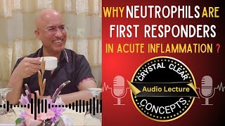 Neutrophils  Cells in Acute Inflammation  Audio Lecture [upl. by Kilgore]