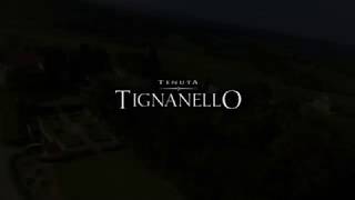 Tenuta Tignanello  2017 [upl. by Barbie]