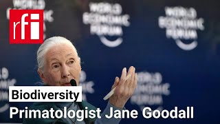 Primatologist Jane Goodall warns ‘The world is a mess’ ahead of COP16 • RFI English [upl. by Kenison91]