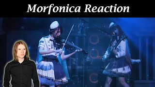 Morfonica  Daylight Reaction [upl. by Julide143]