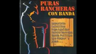 PURAS RANCHERAS CON BANDA [upl. by Ahsinawt]