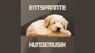 Entspannte Hundemusik Pt 66 [upl. by Maiah154]