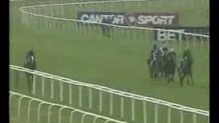 Hawk Wing 1st Lockinge Stakes Gr1 [upl. by Remat]