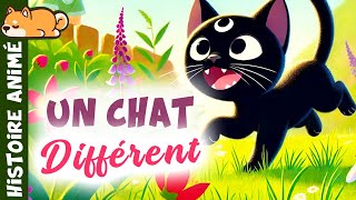 SHADOW LE CHAT 🐈‍⬛ histoire pour sendormir  conte pour enfant Une Histoire de Courage et dAmitié [upl. by Oidiple]