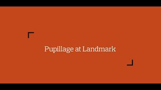 Pupillage at Landmark Chambers [upl. by Aseefan]