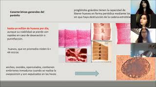 Difilobotriasis Diphyllobothrium latum [upl. by Chico]