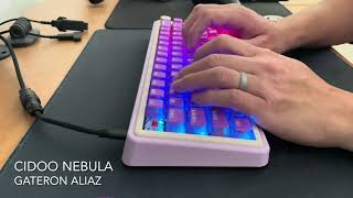 Cidoo Nebula  Gateron Aliaz Switches  Typing Sounds [upl. by Crow]