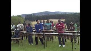 Amazing Zimbabwe Marimba Band [upl. by Elfont]