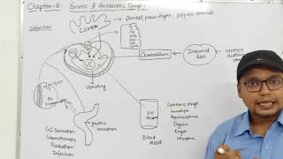 Emetics amp Antiemetics Drugs Physiology of Vomiting Classification  Ch8 Unit1 PharmacologyIII [upl. by Peta]